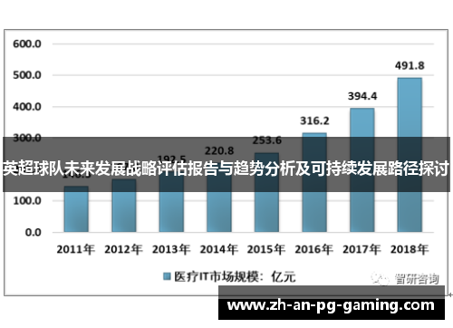 英超球队未来发展战略评估报告与趋势分析及可持续发展路径探讨 英超球队未来发展战略评估报告与趋势分析及可持续发展路径探讨